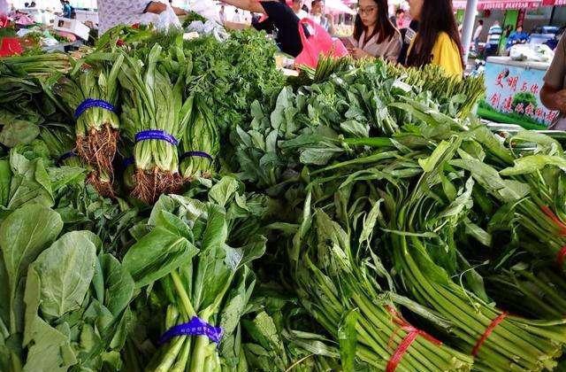 澳门沙金(中国)在线平台去菜市场买青菜时