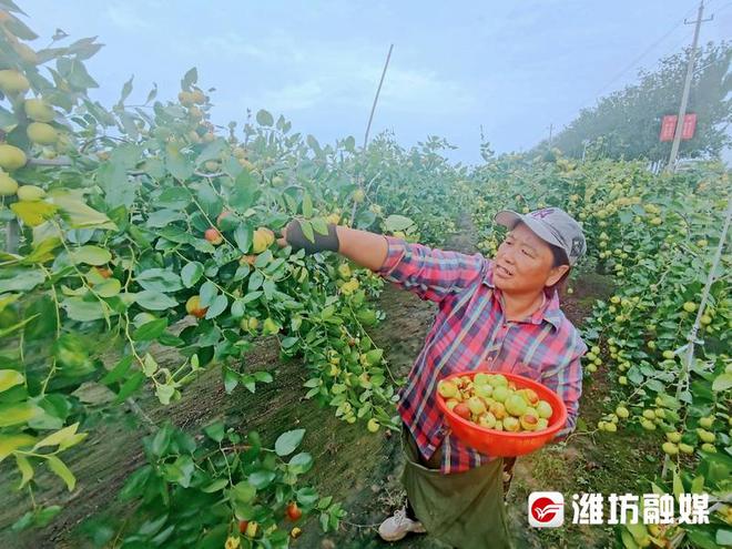 澳门沙金(中国)在线平台出口水果名单+1