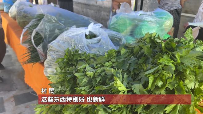 澳门沙金“蔬菜直通车”开到家门口！受灾村民吃上了新鲜菜(图2)