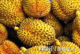 澳门沙金(中国)在线平台榴莲分公母？我是