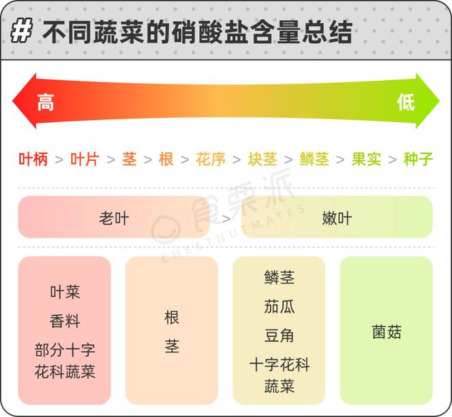 澳门沙金(中国)在线平台68种蔬菜的硝酸盐排行榜带饭党必知!(图11)