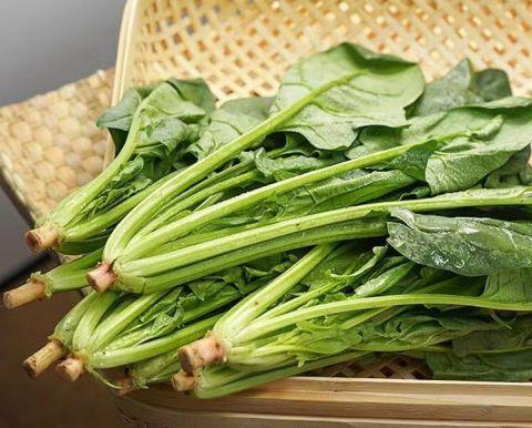 澳门沙金(中国)在线平台阿里社区电商淘菜菜100万斤平价菠菜进入市场(图2)