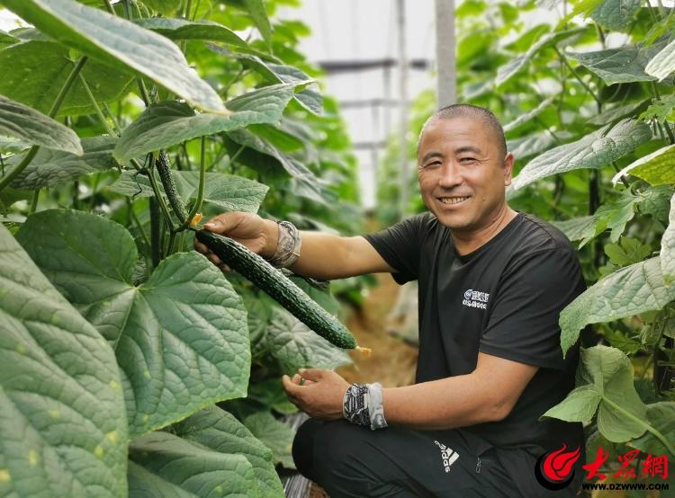 澳门沙金(中国)在线平台党员话菜乡④寿光市孙家集街道：党建引领促发展 蔬菜大棚托(图3)