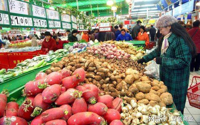 澳门沙金它是中国最大的蔬菜基地媲美欧美农业如今正酝酿一场新风暴！(图3)