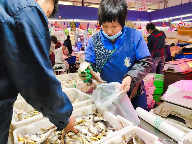 澳门沙金(中国)在线平台青岛早市黄花鱼便宜6元一斤女市民一次买下8斤(图2)