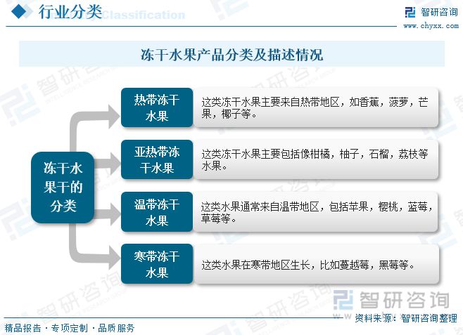 澳门沙金冻干水果报告：消费者对健康食品和方便食品的关注行业增长势头(图1)