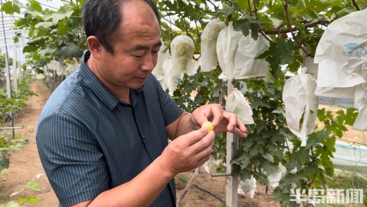 澳门沙金(中国)在线平台我是新农人丨孩子