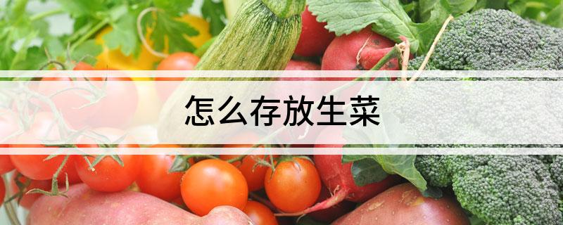 澳门沙金怎么存放生菜