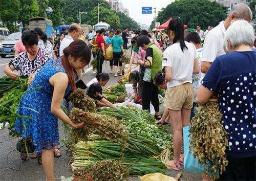 澳门沙金(中国)在线平台农村俗语“隔夜不贩桃百里不贩葱”蕴含着啥农民做买卖的智慧(图1)