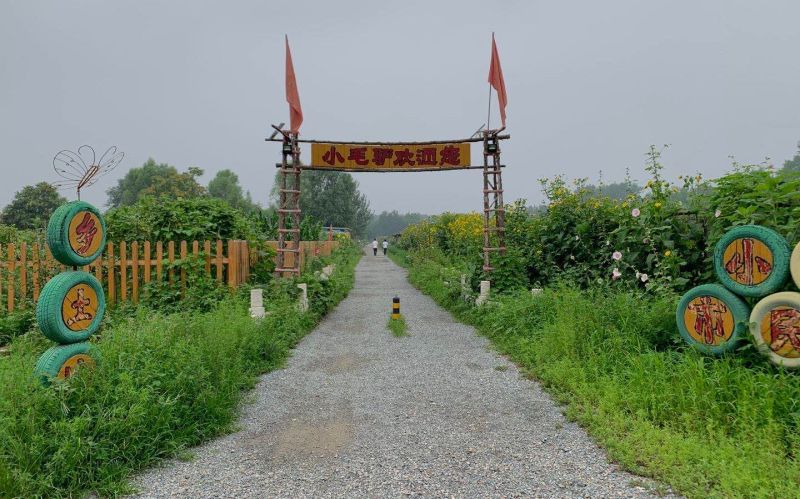 澳门沙金(中国)在线平台京郊租地种菜蔚然成风 专家称后续市场空间存疑(图7)