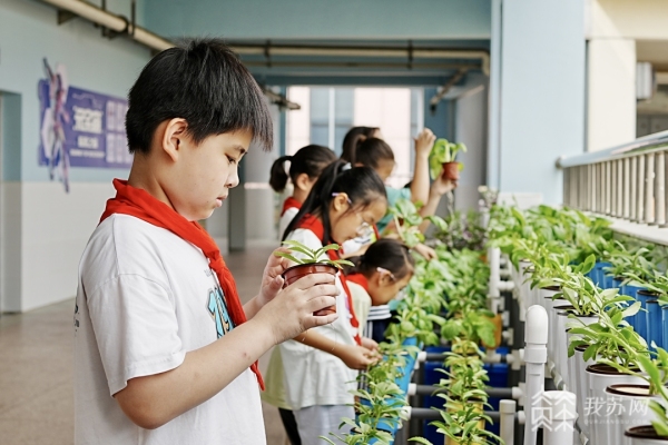 澳门沙金(中国)在线平台昆山这所小学打造“太空菜园” 让科学教育助力课后服务“提(图3)