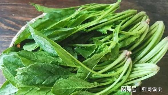 澳门沙金1种蔬菜眼睛越吃越亮隔天食用养肝