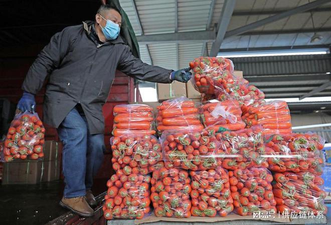 澳门沙金莘县蔬菜批发市场中的佼佼者益泽供应链(图2)