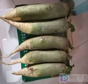 澳门沙金菜贩子怎么保鲜蔬菜(图2)