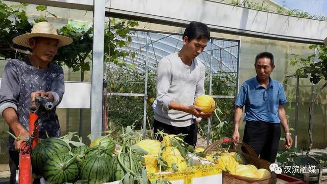 澳门沙金西瓜、蓝莓、黄桃、杨梅、李子……来安康摘水果吧！【959推荐】(图2)