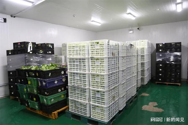 澳门沙金沪鑫餐饮供应链静安副食品配送保鲜措施解析(图3)