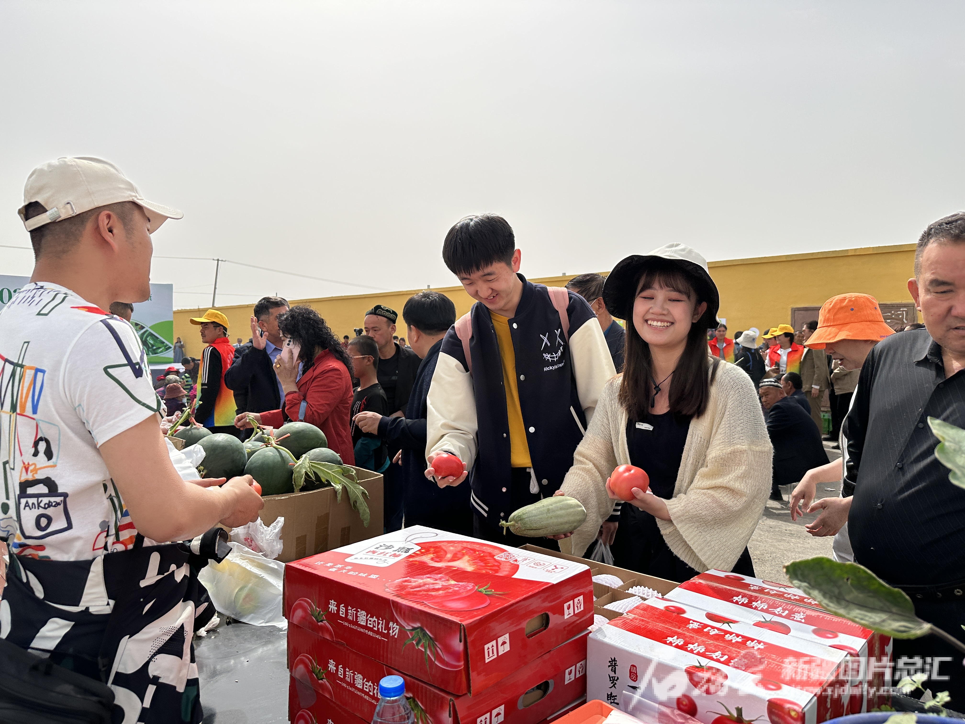 澳门沙金(中国)在线平台吐鲁番市高昌区果