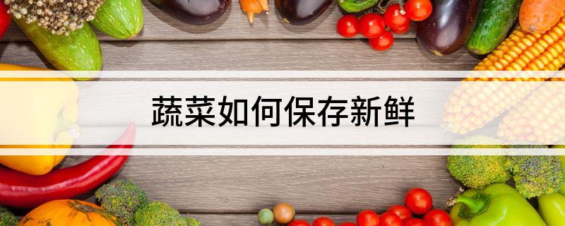 澳门沙金蔬菜如何保存新鲜