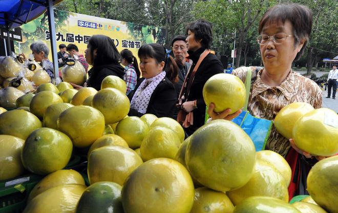 澳门沙金(中国)在线平台500多万吨柚子迎来噩梦价格惨遭滑铁卢从2元一斤跌至4毛(图2)