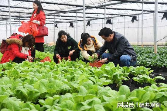 澳门沙金(中国)在线平台疫情下买菜难？看看蔬菜产业链的“众生相”其实它就是个伪命(图4)