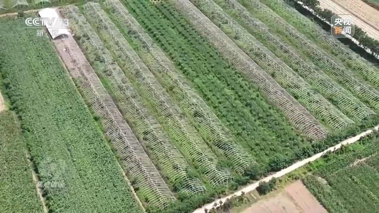 澳门沙金(中国)在线平台牢牢把握住农业“中国芯” 看今日好“丰”景(图15)