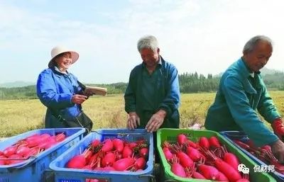 澳门沙金(中国)在线平台对接粤港澳大湾区湖南这一生意爆发式增长(图2)