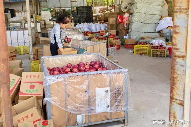 澳门沙金(中国)在线平台冷库这样做节能省