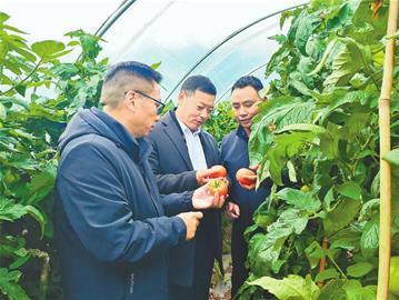 澳门沙金(中国)在线平台老郭选菜记