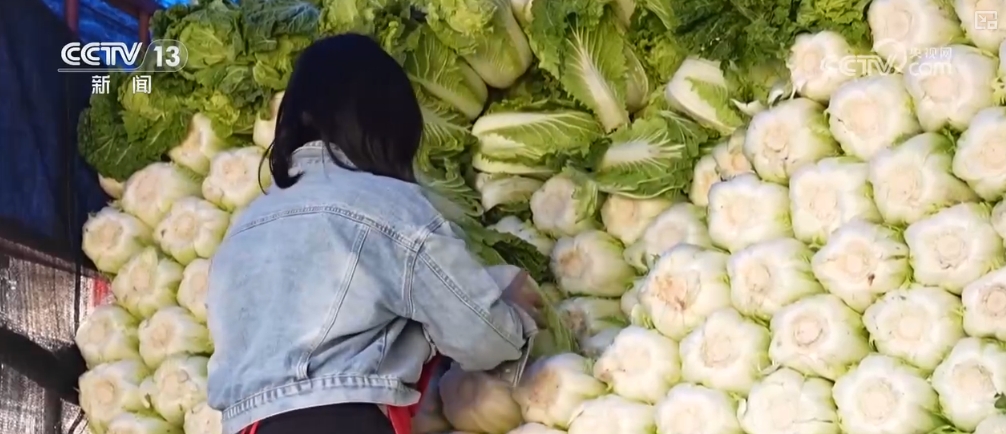 澳门沙金冬储菜供应充足 “老三样”销售旺