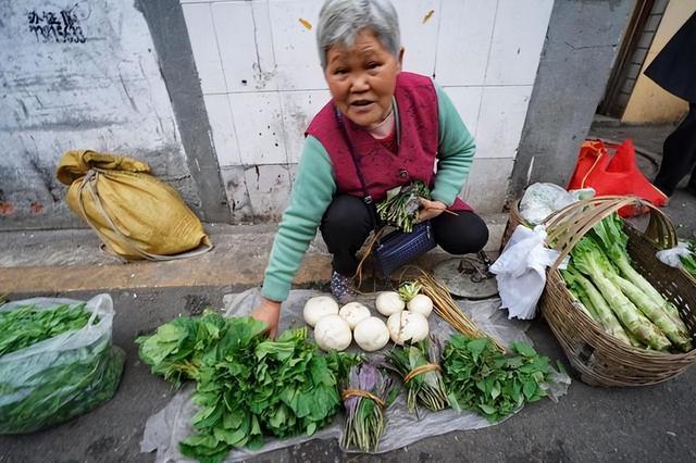 澳门沙金(中国)在线平台回顾：为什么现在人宁愿跑到超市买菜也不买街边老人的菜？(图5)