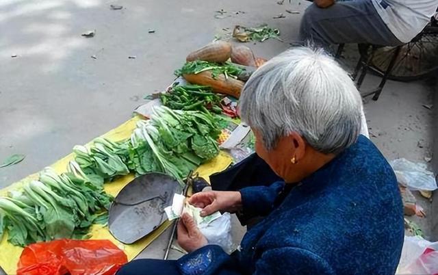 澳门沙金(中国)在线平台回顾：为什么现在人宁愿跑到超市买菜也不买街边老人的菜？(图19)