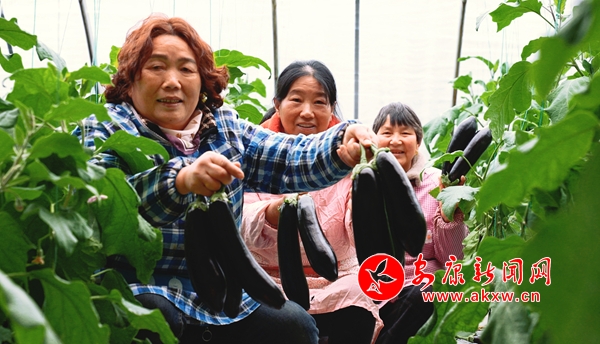 澳门沙金新春走基层 为春节 “菜篮子” 添彩 让百姓餐桌更丰盛 - 安康新闻网(图6)