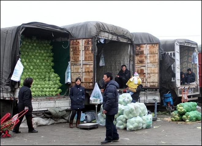 澳门沙金(中国)在线平台山东蔬菜运往西伯利亚：-40℃度用6层草帘子4000公里(图6)