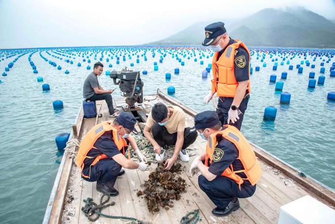 澳门沙金(中国)在线平台养殖虾都是吃抗生素、激素长大的？究竟能吃不？告诉你怎么挑(图8)