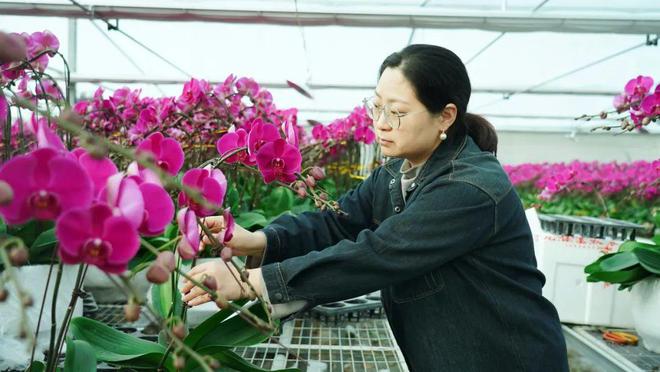 澳门沙金(中国)在线平台【寻“味”中国年】浓浓年花香郁郁年菜鲜……(图2)