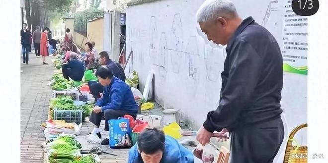 澳门沙金(中国)在线平台差点上当！老人把倒卖玩明白了摆摊用网购菜伪装成自家菜来卖(图1)