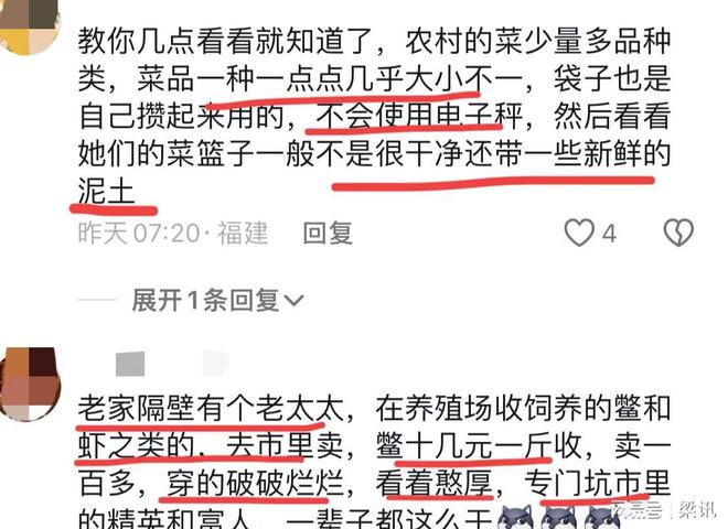 澳门沙金(中国)在线平台差点上当！老人把倒卖玩明白了摆摊用网购菜伪装成自家菜来卖(图13)