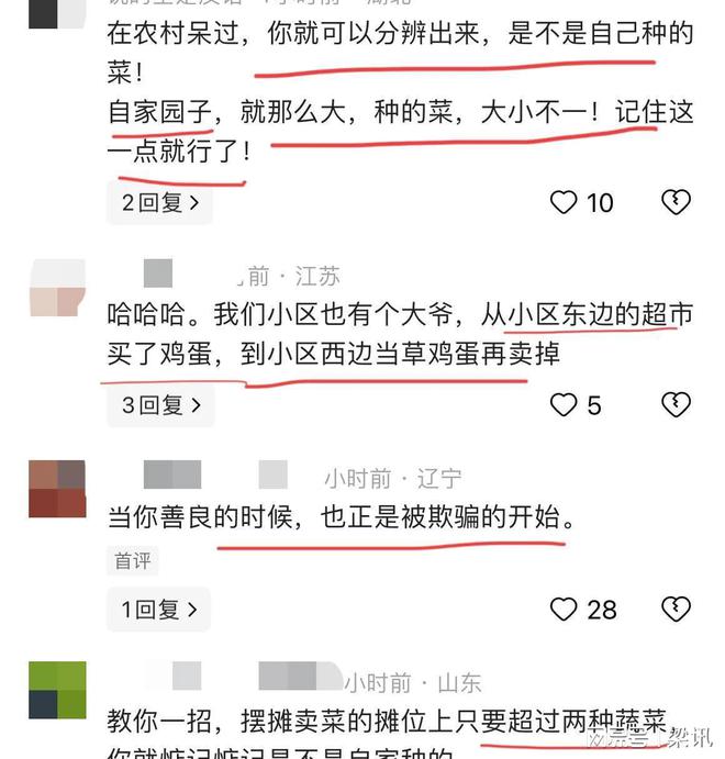 澳门沙金(中国)在线平台差点上当！老人把倒卖玩明白了摆摊用网购菜伪装成自家菜来卖(图14)